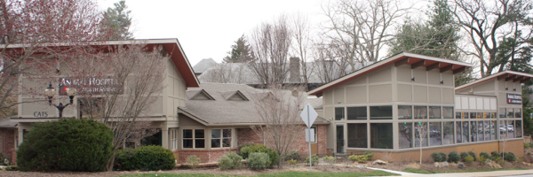 Animal Hospital of North Asheville Animal Hospital of North Asheville